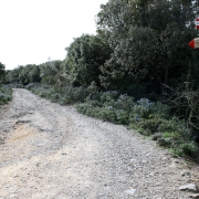 Finalmente il ristoro