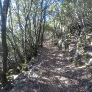 Salita salita salita