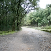 Direzione Sa Duchessa