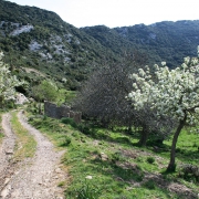 La strada si fa più ripida
