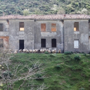 Un pubblico speciale