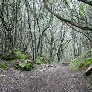 Inizia la vera salita