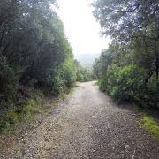 Lasciamo andare le gambe