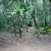 Quale strada prendo?