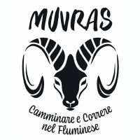 Muvras