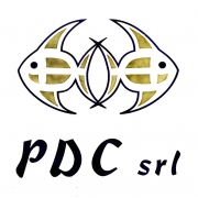 06-PDC Srl
