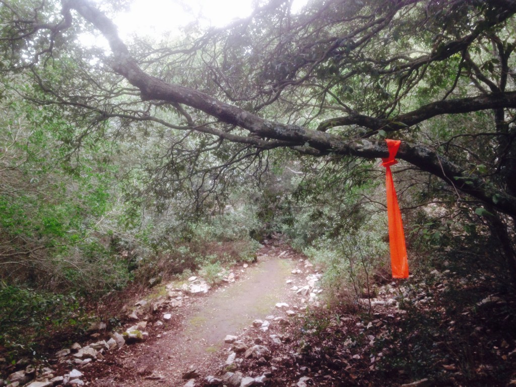 Tracciatura del percorso del Trail del Marganai